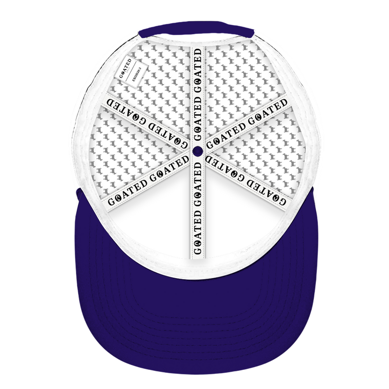 ED REED WHITE/ PURPLE HAT