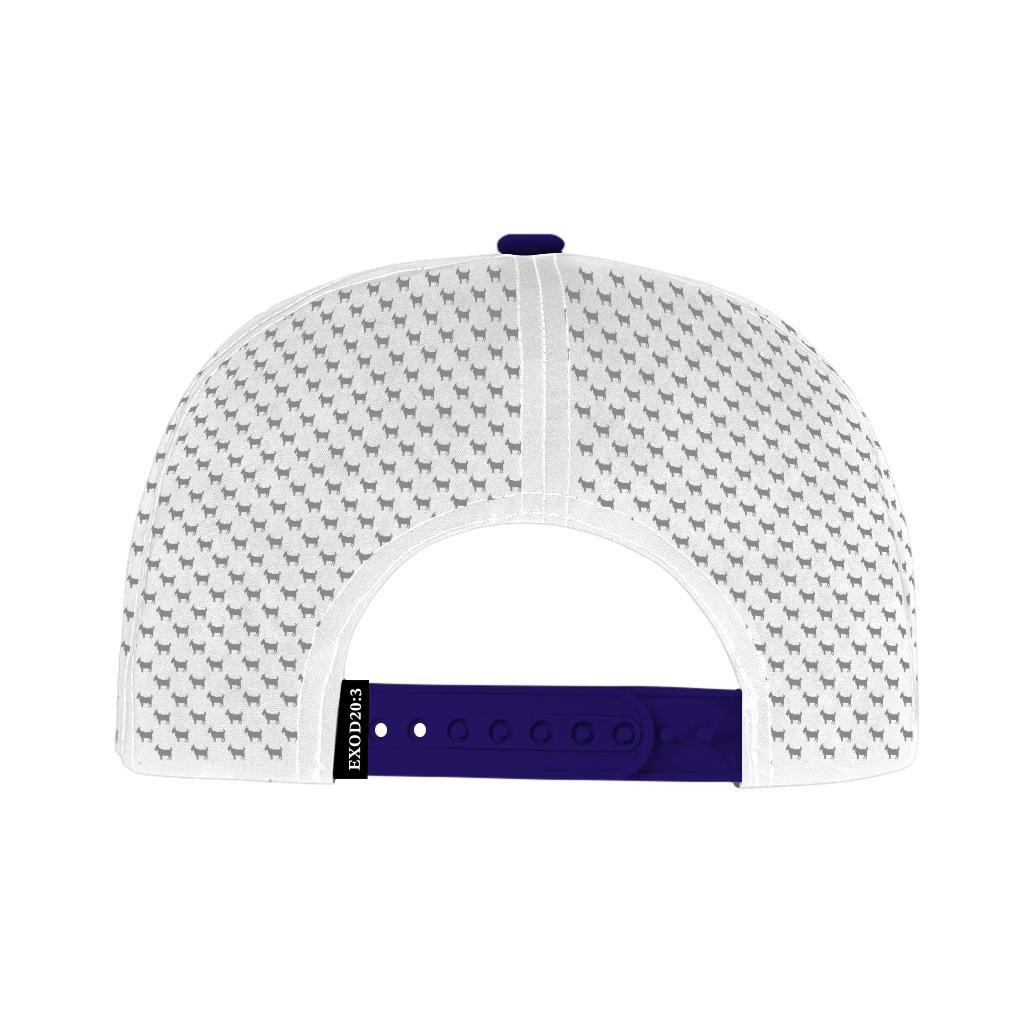 ED REED WHITE/ PURPLE HAT