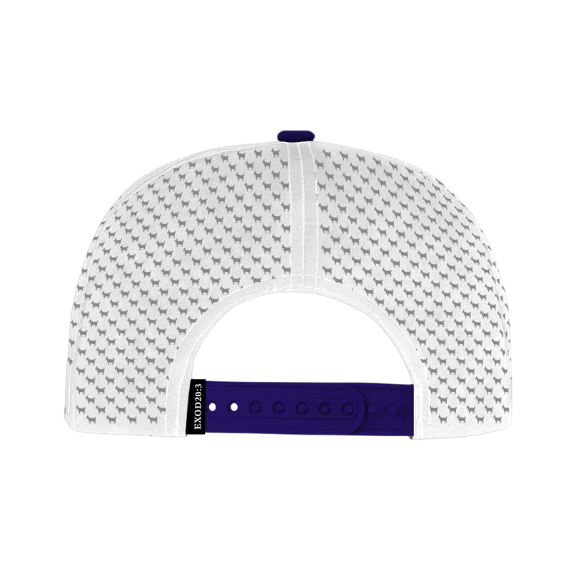 ED REED WHITE/ PURPLE HAT