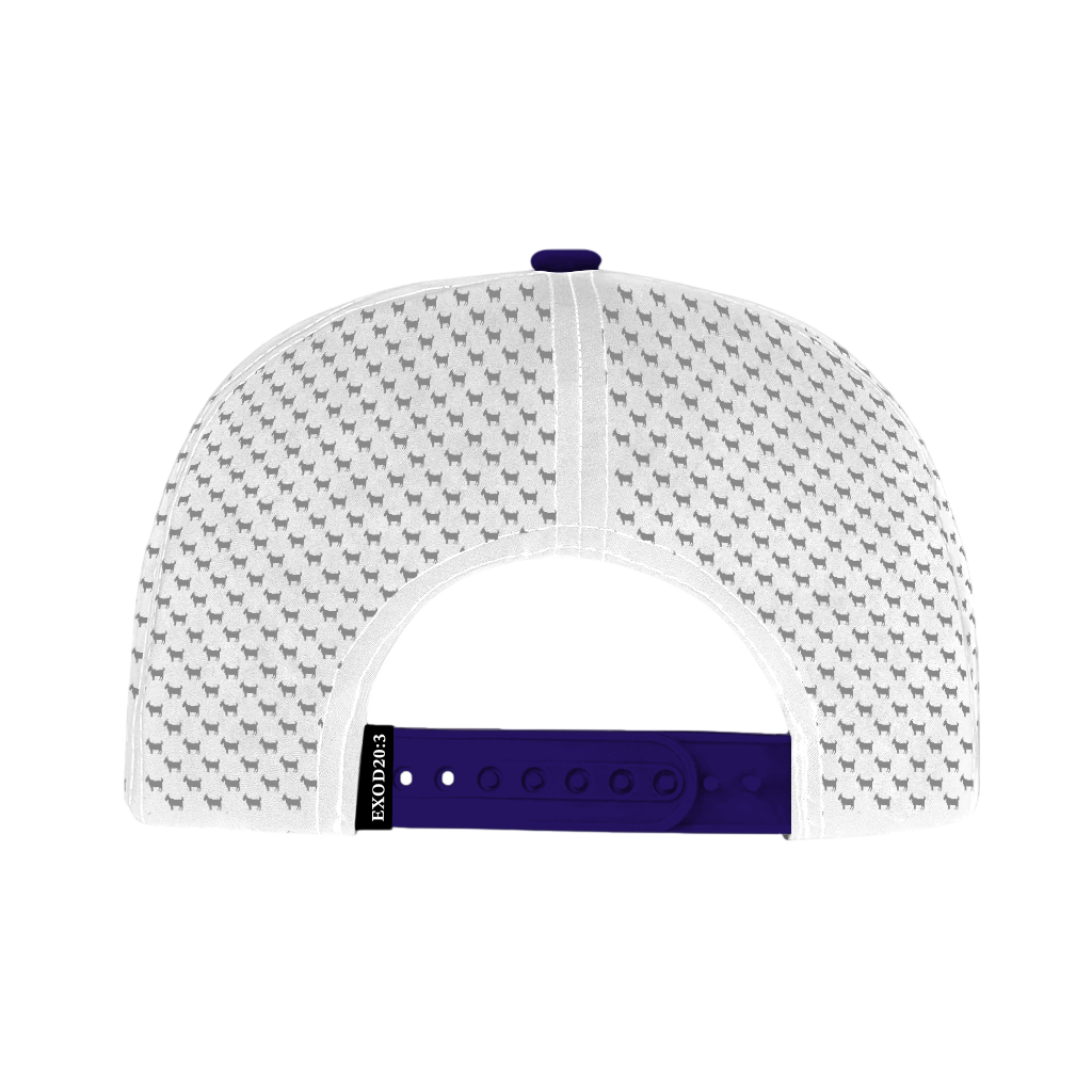 ED REED WHITE/ PURPLE HAT