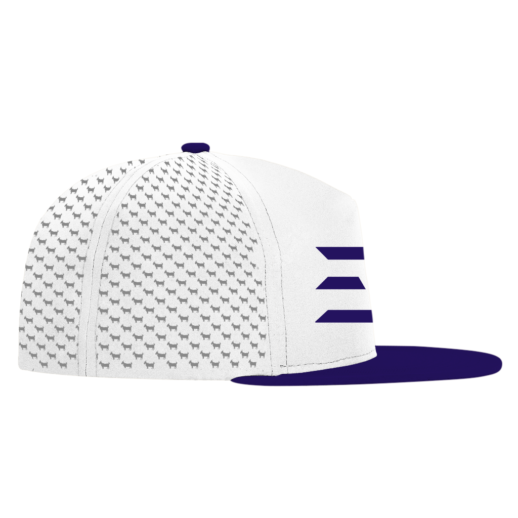 ED REED WHITE/ PURPLE HAT