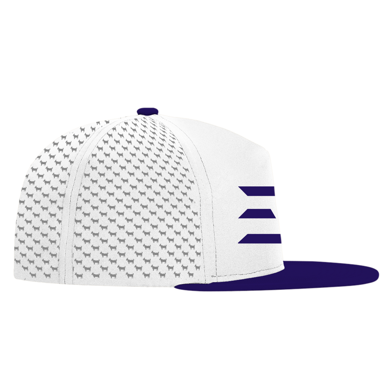 ED REED WHITE/ PURPLE HAT