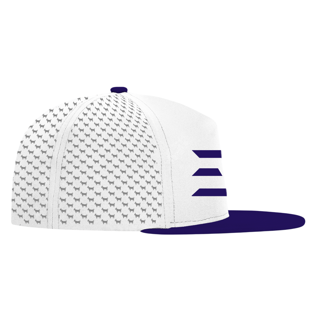 ED REED WHITE/ PURPLE HAT