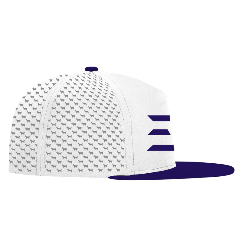 ED REED WHITE/ PURPLE HAT