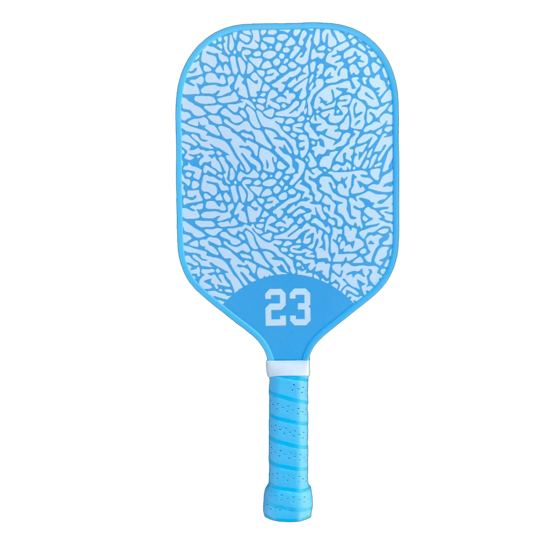THE UNC PICKLEBALL PADDLE