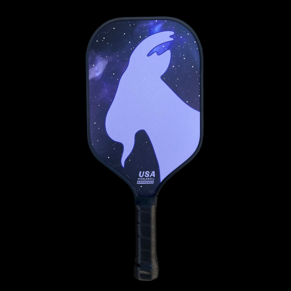 THE GALAXY PICKLEBALL PADDLE – GOATED GOLF