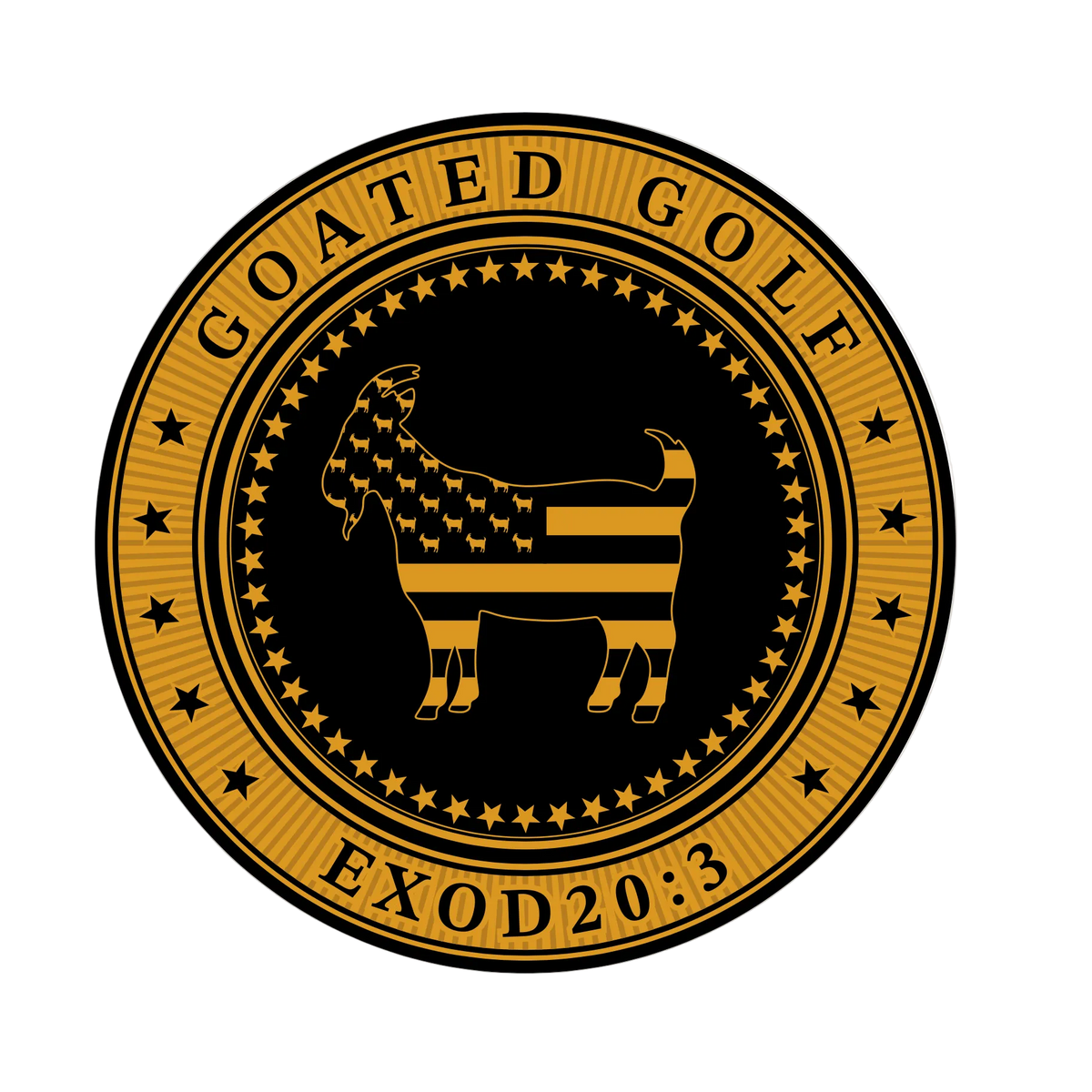 MERICA 250 CHALLENGE COIN