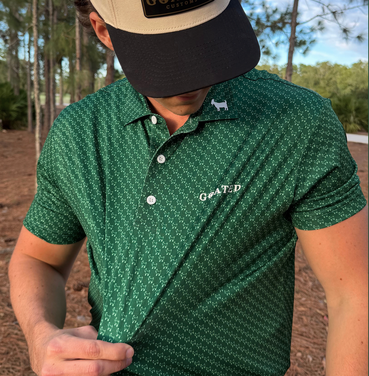 Image with text section