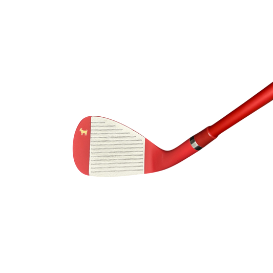 THE 49ERS WEDGE