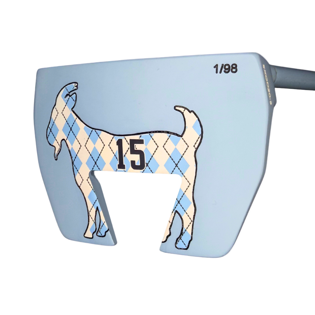 THE VINSANITY MALLET PUTTER