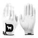 GOATED GOLF GLOVE (WHITE)