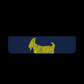 THE GO BLUE BLADE PUTTER