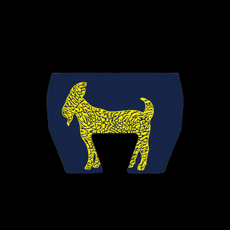 THE GO BLUE MALLET PUTTER