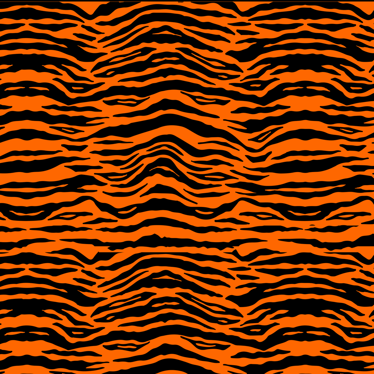 THE BIG CAT