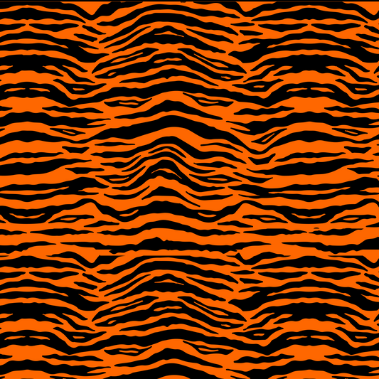 THE BIG CAT