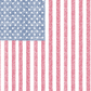 THE MERICA EP