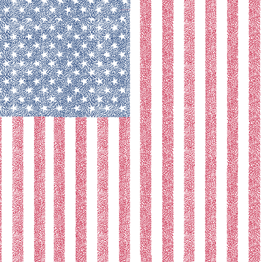 THE MERICA EP