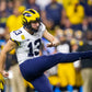 THE GO BLUE MALLET PUTTER